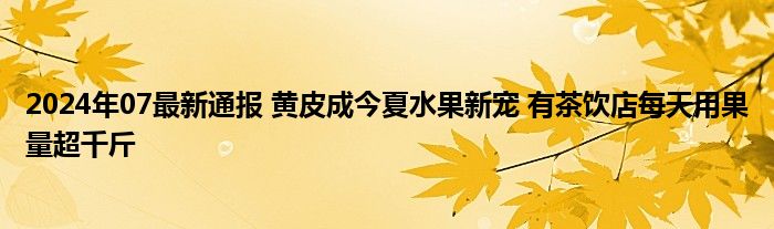 2024年07最新通报 黄皮成今夏水果新宠 有茶饮店每天用果量超千斤