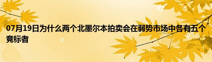 07月19日为什么两个北墨尔本拍卖会在弱势市场中各有五个竞标者