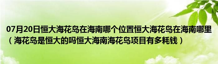 07月20日恒大海花岛在海南哪个位置恒大海花岛在海南哪里（海花岛是恒大的吗恒大海南海花岛项目有多耗钱）