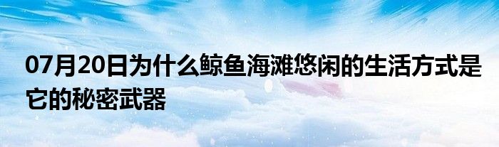 07月20日为什么鲸鱼海滩悠闲的生活方式是它的秘密武器