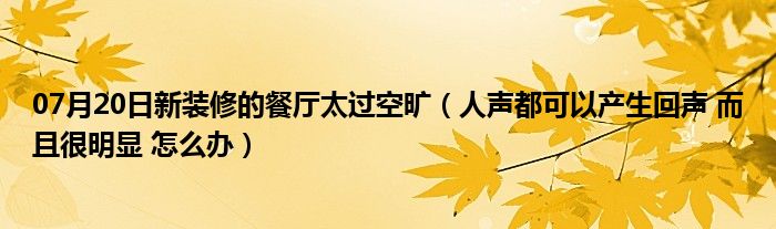 07月20日新装修的餐厅太过空旷（人声都可以产生回声 而且很明显 怎么办）