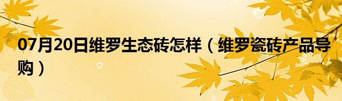 07月20日维罗生态砖怎样（维罗瓷砖产品导购）