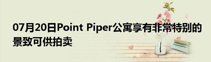 07月20日Point Piper公寓享有非常特别的景致可供拍卖