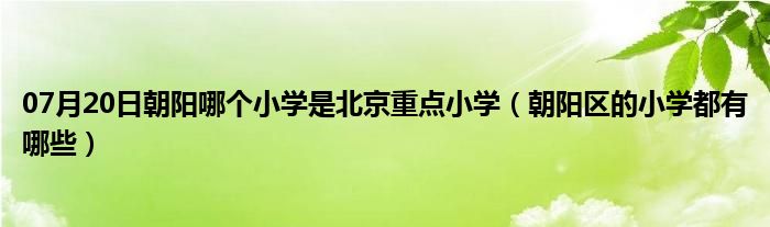 07月20日朝阳哪个小学是北京重点小学（朝阳区的小学都有哪些）