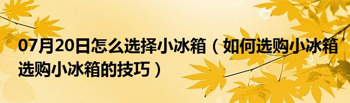 07月20日怎么选择小冰箱（如何选购小冰箱选购小冰箱的技巧）