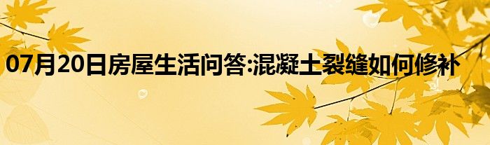 07月20日房屋生活问答:混凝土裂缝如何修补