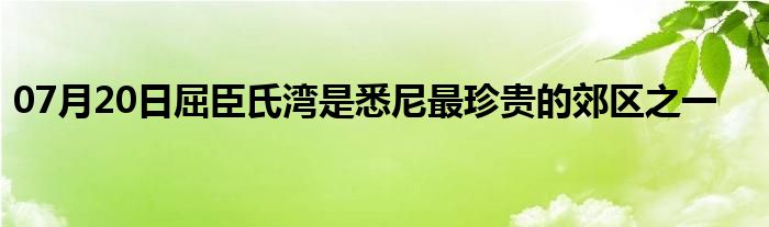 07月20日屈臣氏湾是悉尼最珍贵的郊区之一