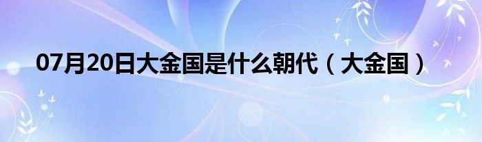 07月20日大金国是什么朝代（大金国）