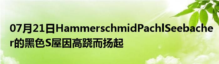 07月21日HammerschmidPachlSeebacher的黑色S屋因高跷而扬起