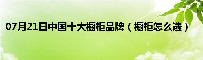 07月21日中国十大橱柜品牌（橱柜怎么选）