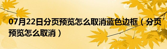 07月22日分页预览怎么取消蓝色边框（分页预览怎么取消）