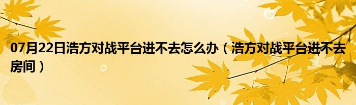 07月22日浩方对战平台进不去怎么办（浩方对战平台进不去房间）