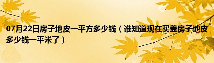 07月22日房子地皮一平方多少钱（谁知道现在买盖房子地皮多少钱一平米了）