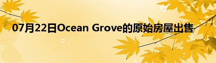 07月22日Ocean Grove的原始房屋出售