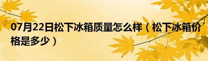 07月22日松下冰箱质量怎么样（松下冰箱价格是多少）