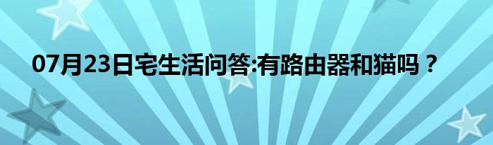 07月23日宅生活问答:有路由器和猫吗？