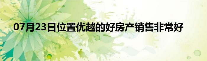 07月23日位置优越的好房产销售非常好