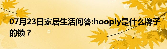 07月23日家居生活问答:hooply是什么牌子的锁？