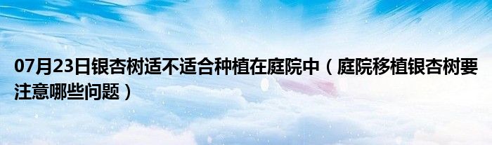 07月23日银杏树适不适合种植在庭院中（庭院移植银杏树要注意哪些问题）