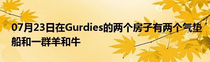 07月23日在Gurdies的两个房子有两个气垫船和一群羊和牛