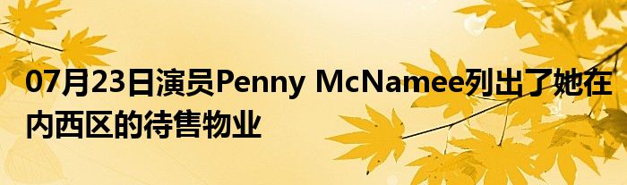 07月23日演员Penny McNamee列出了她在内西区的待售物业