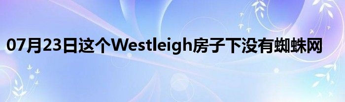 07月23日这个Westleigh房子下没有蜘蛛网