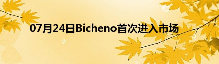 07月24日Bicheno首次进入市场