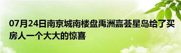 07月24日南京城南楼盘禹洲嘉荟星岛给了买房人一个大大的惊喜