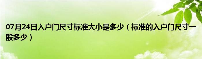 07月24日入户门尺寸标准大小是多少（标准的入户门尺寸一般多少）