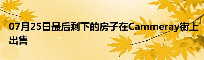 07月25日最后剩下的房子在Cammeray街上出售