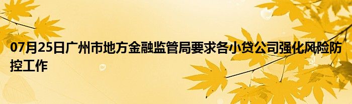 07月25日广州市地方金融监管局要求各小贷公司强化风险防控工作