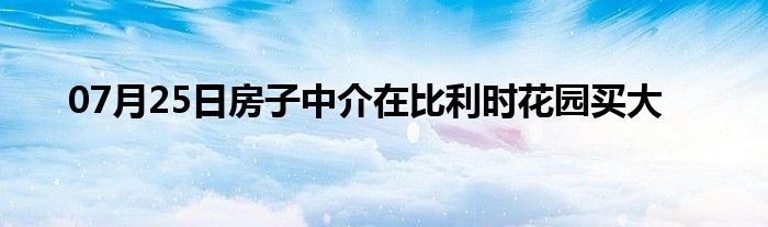 07月25日房子中介在比利时花园买大