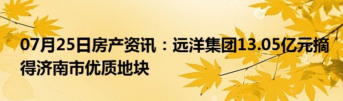 07月25日房产资讯：远洋集团13.05亿元摘得济南市优质地块