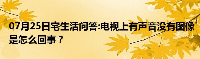 07月25日宅生活问答:电视上有声音没有图像是怎么回事？