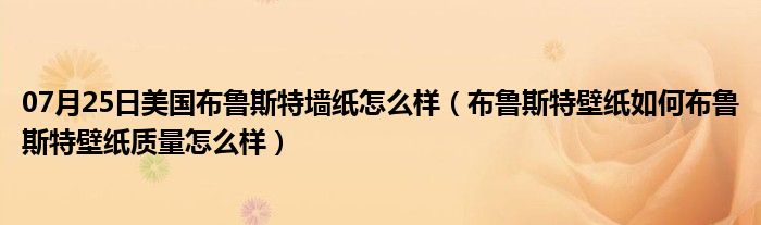 07月25日美国布鲁斯特墙纸怎么样（布鲁斯特壁纸如何布鲁斯特壁纸质量怎么样）