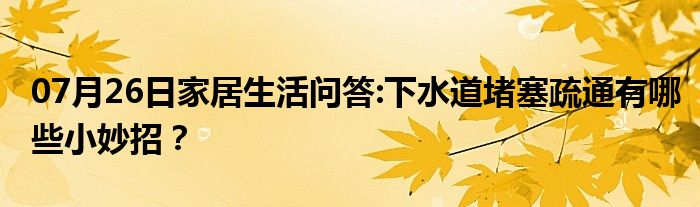 07月26日家居生活问答:下水道堵塞疏通有哪些小妙招？