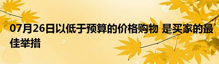 07月26日以低于预算的价格购物 是买家的最佳举措