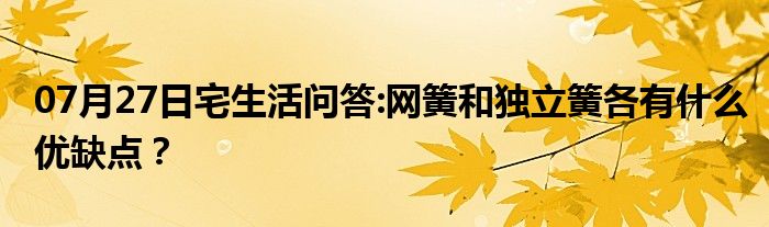 07月27日宅生活问答:网簧和独立簧各有什么优缺点？