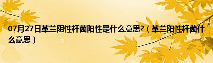 07月27日革兰阴性杆菌阳性是什么意思?（革兰阳性杆菌什么意思）