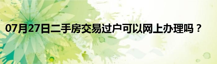 07月27日二手房交易过户可以网上办理吗？