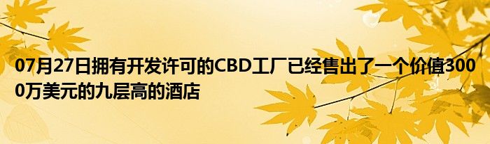 07月27日拥有开发许可的CBD工厂已经售出了一个价值3000万美元的九层高的酒店