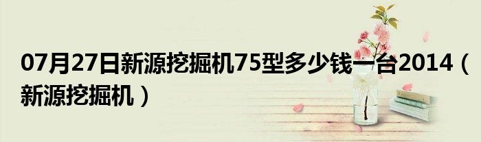 07月27日新源挖掘机75型多少钱一台2014（新源挖掘机）