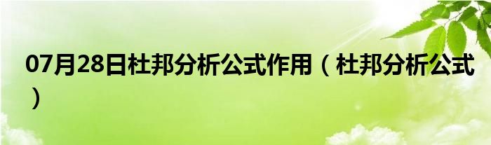 07月28日杜邦分析公式作用（杜邦分析公式）