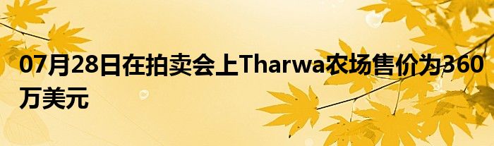 07月28日在拍卖会上Tharwa农场售价为360万美元