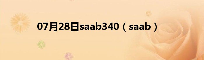 07月28日saab340（saab）