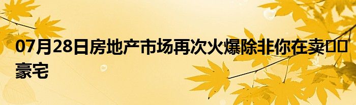 07月28日房地产市场再次火爆除非你在卖​​豪宅