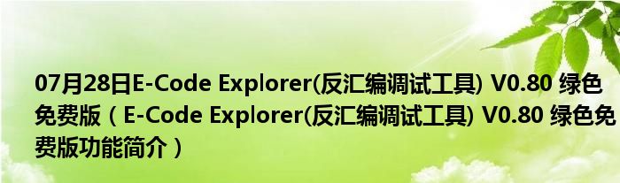 07月28日E-Code Explorer(反汇编调试工具) V0.80 绿色免费版（E-Code Explorer(反汇编调试工具) V0.80 绿色免费版功能简介）