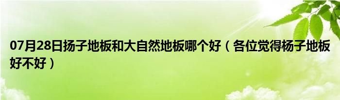 07月28日扬子地板和大自然地板哪个好（各位觉得杨子地板好不好）