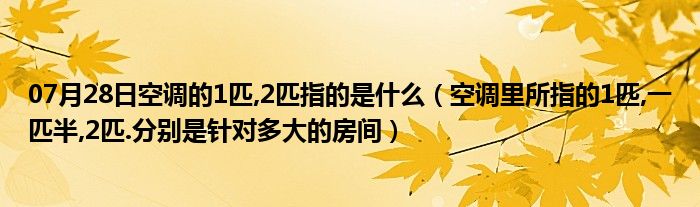 07月28日空调的1匹,2匹指的是什么（空调里所指的1匹,一匹半,2匹.分别是针对多大的房间）