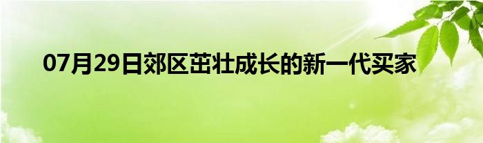 07月29日郊区茁壮成长的新一代买家